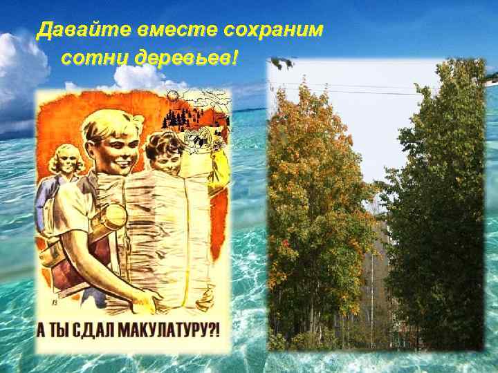 Давайте вместе сохраним сотни деревьев! 22 