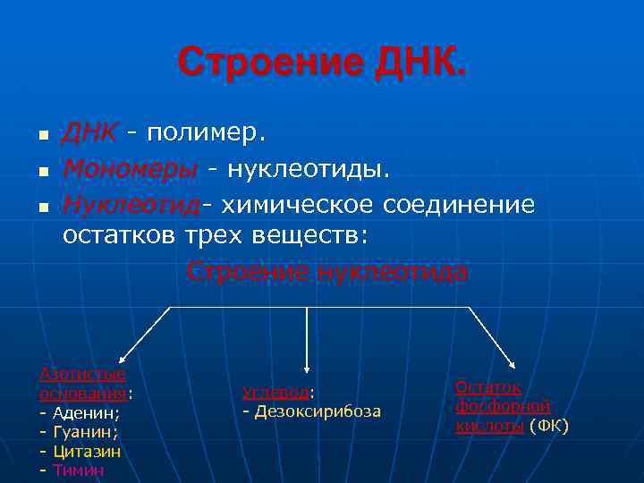 Строение ДНК. n n n ДНК - полимер. Мономеры - нуклеотиды. Нуклеотид- химическое соединение