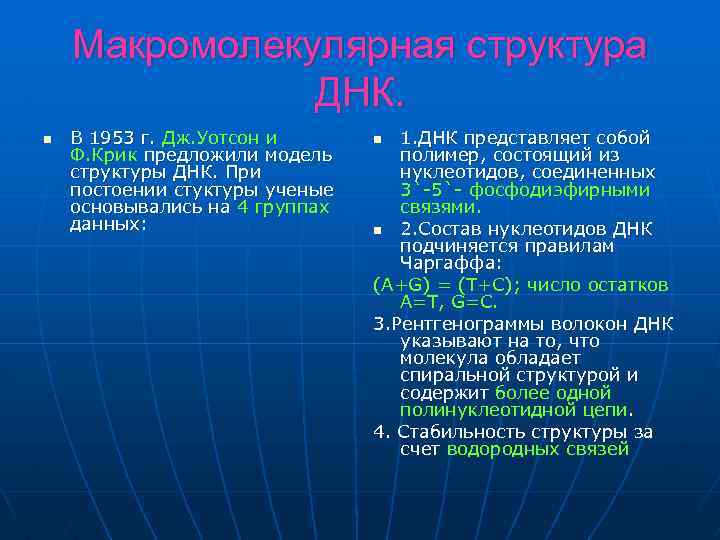 Макромолекулярная структура ДНК. n В 1953 г. Дж. Уотсон и Ф. Крик предложили модель