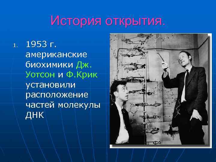 История открытия. 1. 1953 г. американские биохимики Дж. Уотсон и Ф. Крик установили расположение