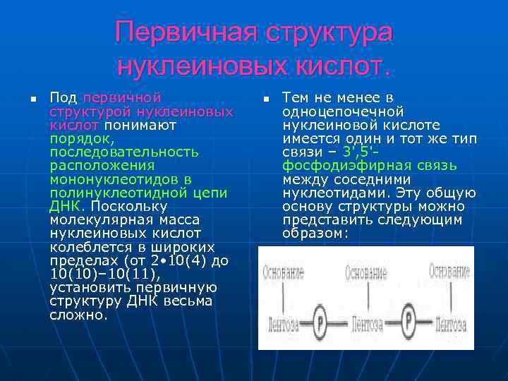 Первичная структура нуклеиновых кислот. n Под первичной структурой нуклеиновых кислот понимают порядок, последовательность расположения