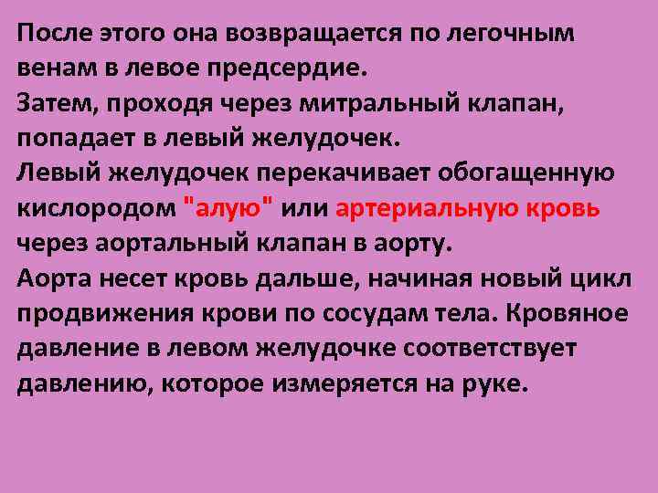 После этого она возвращается по легочным венам в левое предсердие. Затем, проходя через митральный