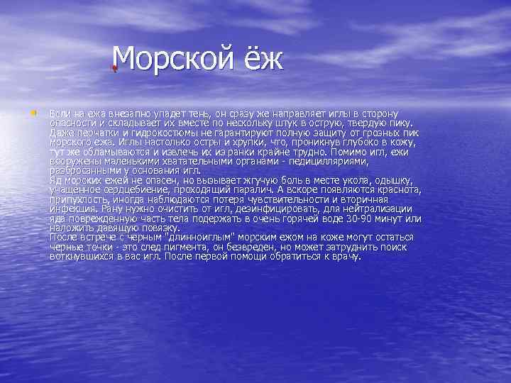 Морской ёж • Если на ежа внезапно упадет тень, он сразу же направляет иглы