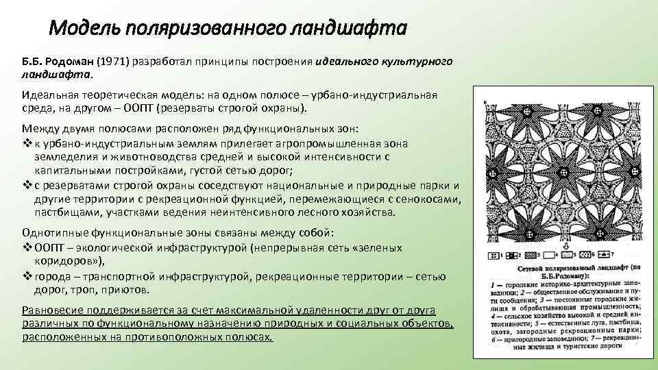 Модель поляризованного ландшафта Б. Б. Родоман (1971) разработал принципы построения идеального культурного ландшафта. Идеальная