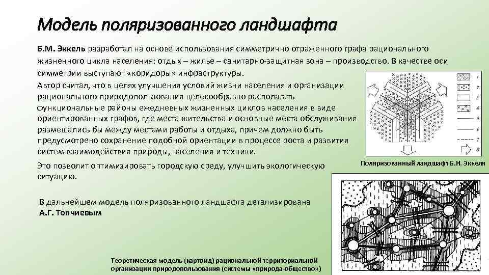 Модель поляризованного ландшафта Б. М. Эккель разработал на основе использования симметрично отраженного графа рационального