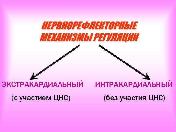 НЕРВНОРЕФЛЕКТОРНЫЕ МЕХАНИЗМЫ РЕГУЛЯЦИИ ЭКСТРАКАРДИАЛЬНЫЙ ИНТРАКАРДИАЛЬНЫЙ (с участием ЦНС) (без участия ЦНС) 