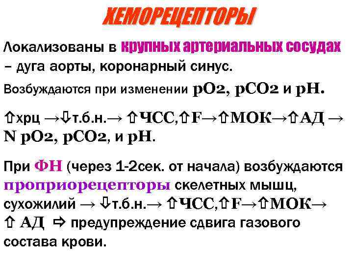 ХЕМОРЕЦЕПТОРЫ Локализованы в крупных артериальных сосудах – дуга аорты, коронарный синус. Возбуждаются при изменении