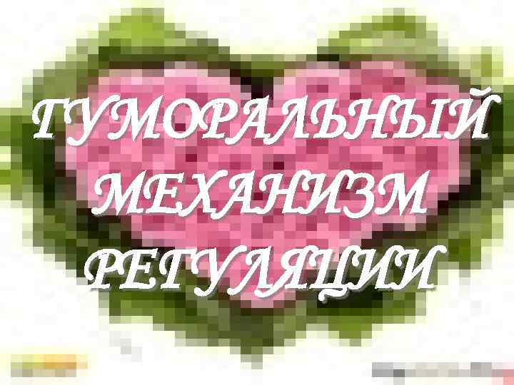 ГУМОРАЛЬНЫЙ МЕХАНИЗМ РЕГУЛЯЦИИ 