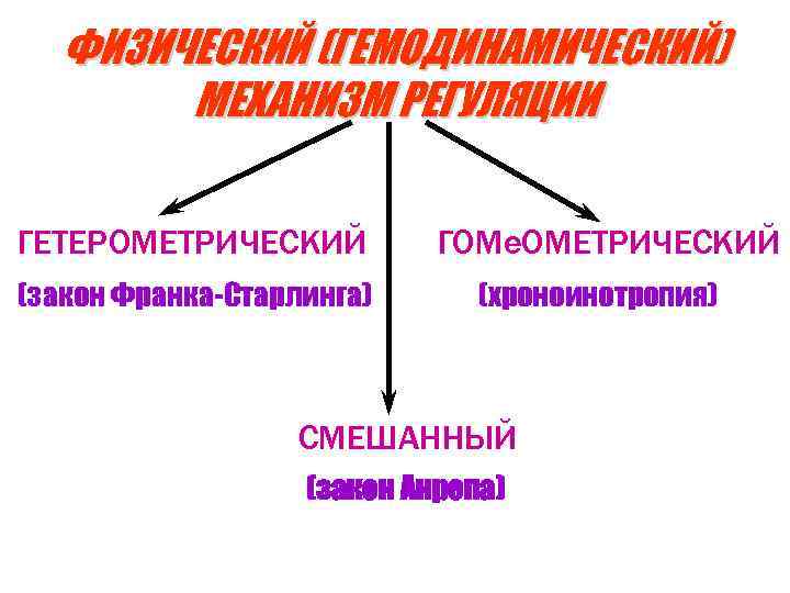 Сигнальная форма регуляции деятельности. Гетерометрический механизм регуляции. Гетерометрическая регуляция сердца. Гомеометрическая регуляция сердца. Гомеометрическая саморегуляция сердечной деятельности.