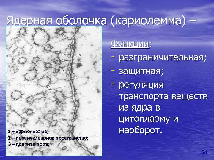 Загадочная схема каламити