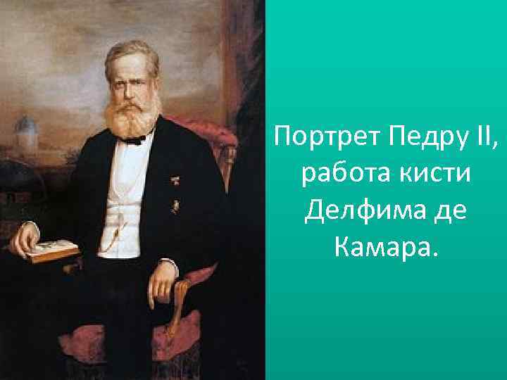 Портрет Педру II, работа кисти Делфима де Камара. 