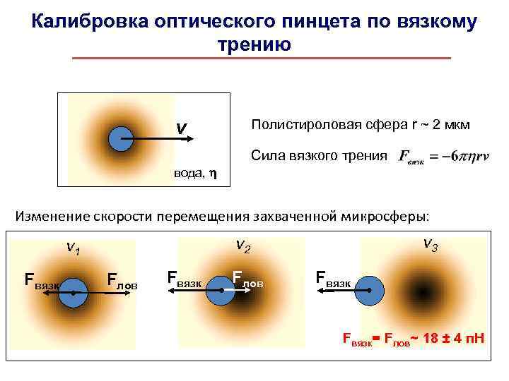 Калибровка оптического пинцета по вязкому трению v Полистироловая сфера r ~ 2 мкм Сила