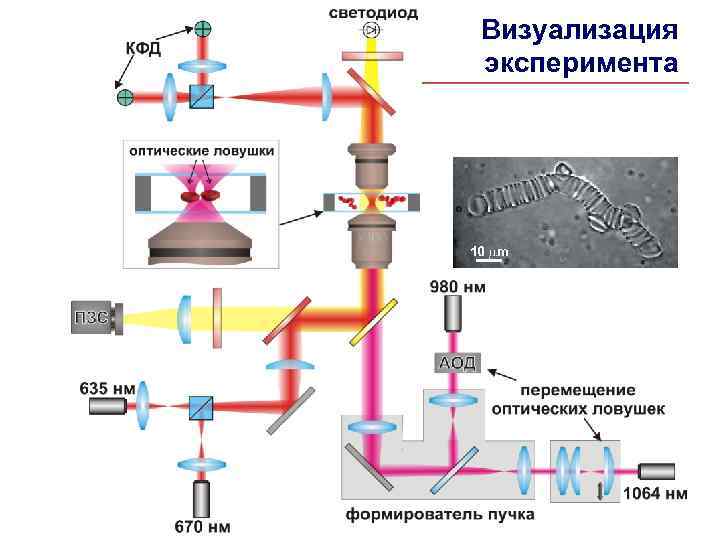 Визуализация эксперимента 