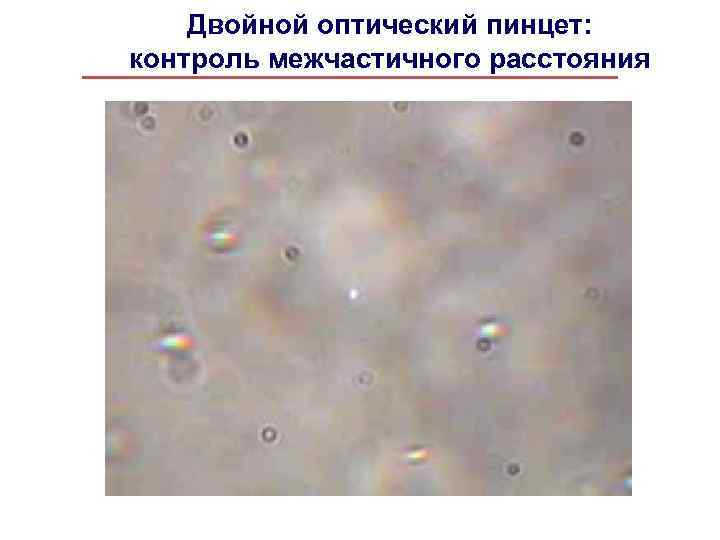 Двойной оптический пинцет: контроль межчастичного расстояния 