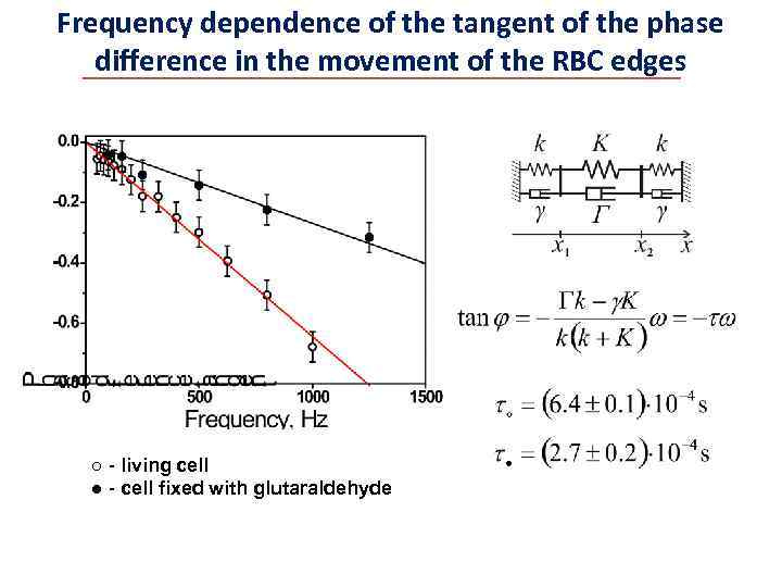 Frequency dependence of the tangent of the phase difference in the movement of the
