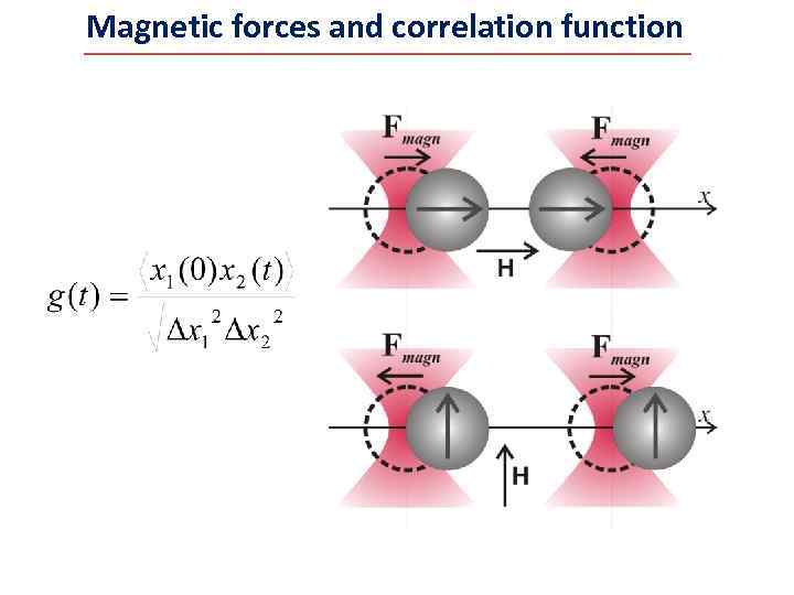 Magnetic forces and correlation function 