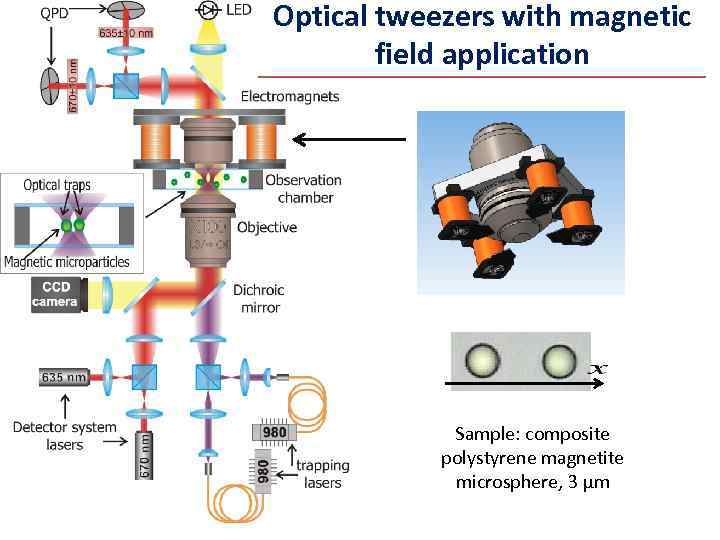 Optical tweezers with magnetic field application Sample: composite polystyrene magnetite microsphere, 3 μm 