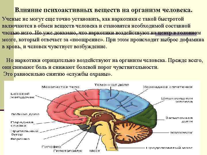 Действие веществ на организм человека