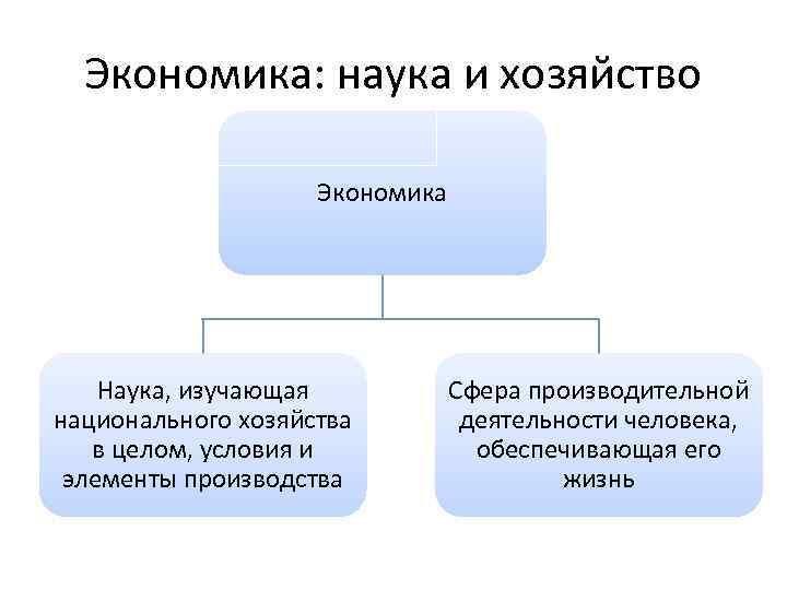 Разделы экономической науки