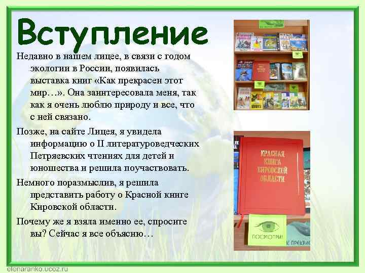 Вступление Недавно в нашем лицее, в связи с годом экологии в России, появилась выставка