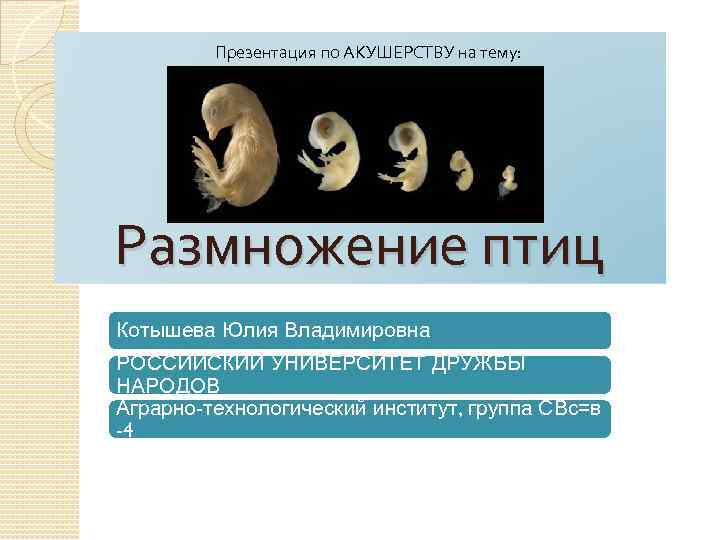 Презентация по АКУШЕРСТВУ на тему: Размножение птиц Котышева Юлия Владимировна РОССИЙСКИЙ УНИВЕРСИТЕТ ДРУЖБЫ НАРОДОВ