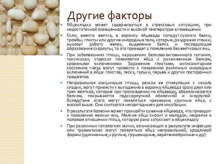 Другие факторы Яйцекладка может задерживаться в стрессовых ситуациях, при недостаточной освещенности и высокой температуре