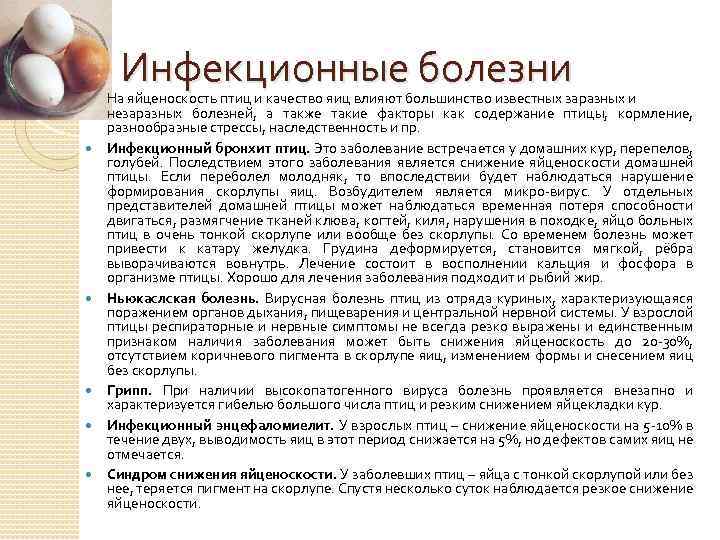 Инфекционные болезни На яйценоскость птиц и качество яиц влияют большинство известных заразных и незаразных