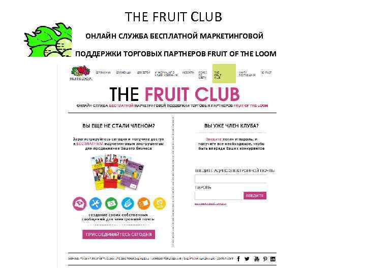 THE FRUIT CLUB ОНЛАЙН СЛУЖБА БЕСПЛАТНОЙ МАРКЕТИНГОВОЙ ПОДДЕРЖКИ ТОРГОВЫХ ПАРТНЕРОВ FRUIT OF THE LOOM