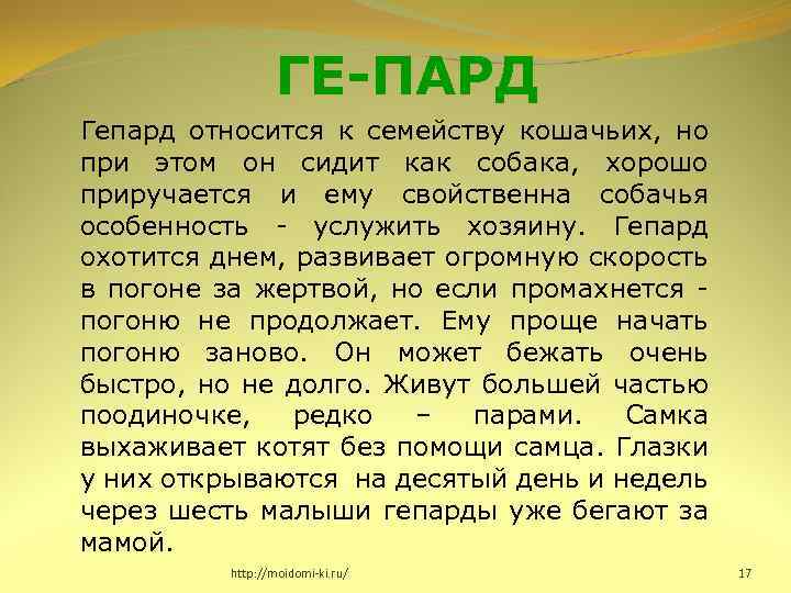 ГЕ-ПАРД Гепард относится к семейству кошачьих, но при этом он сидит как собака, хорошо