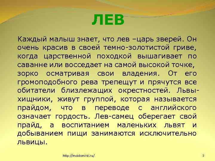 ЛЕВ Каждый малыш знает, что лев –царь зверей. Он очень красив в своей темно-золотистой