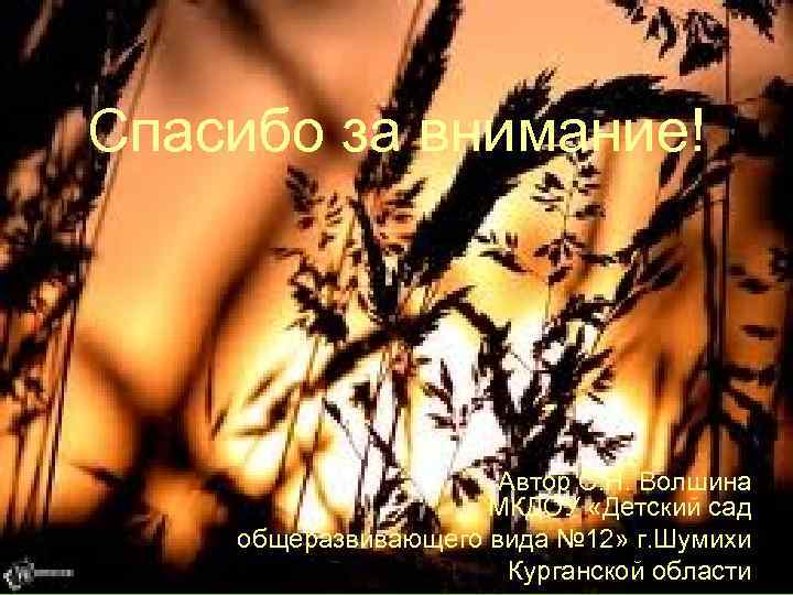 Спасибо за внимание! Автор С. Н. Волшина МКДОУ «Детский сад общеразвивающего вида № 12»