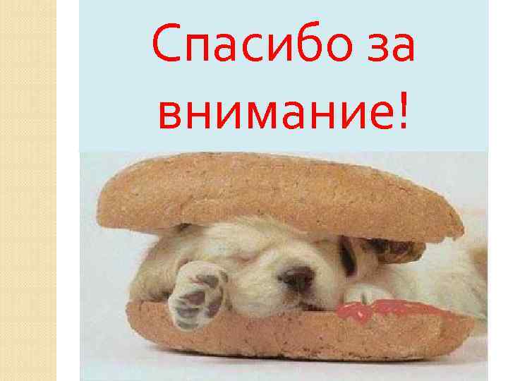 Спасибо за внимание! 