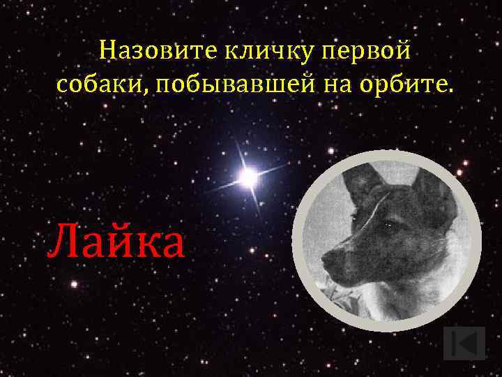 Назовите кличку первой собаки, побывавшей на орбите. Лайка. 