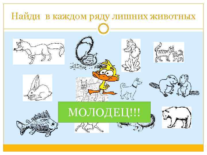 Найди в каждом ряду лишних животных МОЛОДЕЦ!!! 