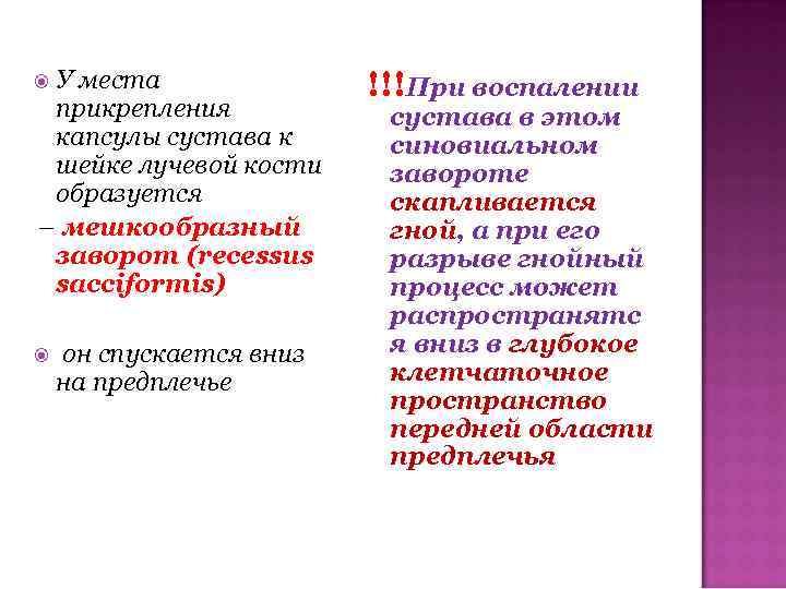  У места прикрепления капсулы сустава к шейке лучевой кости образуется – мешкообразный заворот