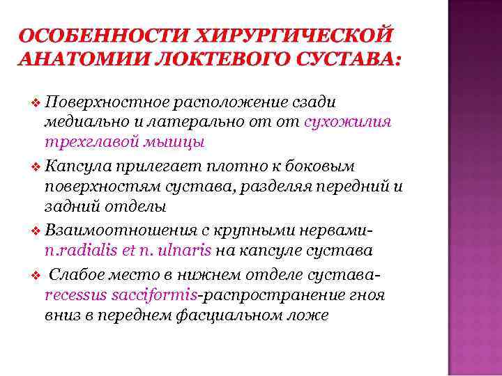  Поверхностное расположение сзади медиально и латерально от от сухожилия трехглавой мышцы Капсула прилегает