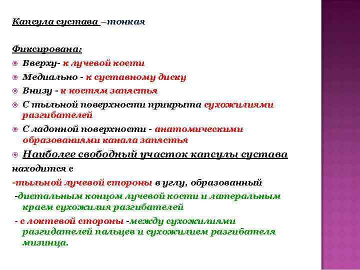 Капсула сустава –тонкая Фиксирована: Вверху- к лучевой кости Медиально - к суставному диску Внизу