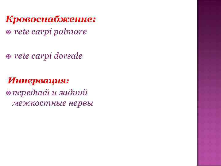 Кровоснабжение: rete carpi palmare rete carpi dorsale Иннервация: передний и задний межкостные нервы 