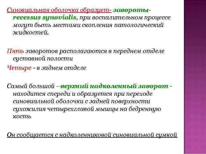 Синовиальная оболочка образует- заворотыrecessus synovialis, при воспалительном процессе могут быть местами скопления патологический жидкостей.