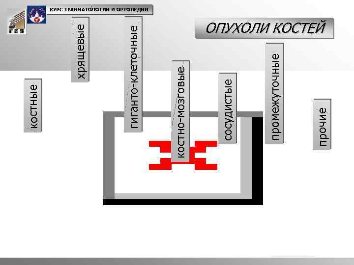 хрящевые прочие промежуточные сосудистые костно-мозговые гиганто-клеточные костные КУРС ТРАВМАТОЛОГИИ И ОРТОПЕДИИ ОПУХОЛИ КОСТЕЙ 