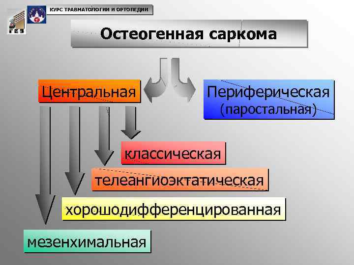 КУРС ТРАВМАТОЛОГИИ И ОРТОПЕДИИ Остеогенная саркома Центральная Периферическая (паростальная) классическая телеангиоэктатическая хорошодифференцированная мезенхимальная 