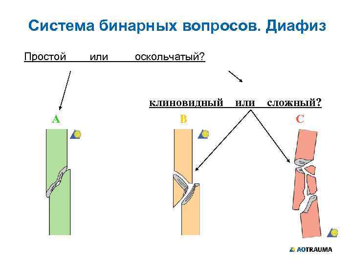 Ao asif универсальная классификация переломов thumbnail