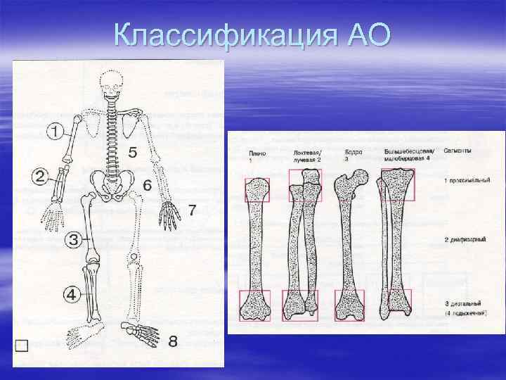 Классификация АО 