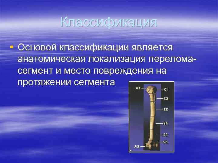 Классификация § Основой классификации является анатомическая локализация переломасегмент и место повреждения на протяжении сегмента