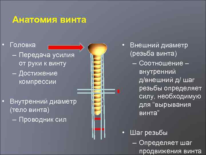 Анатомия винта • Головка – Передача усилия от руки к винту – Достижение компрессии