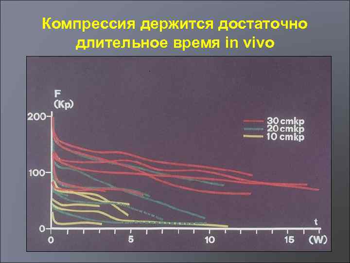 Компрессия держится достаточно длительное время in vivo 