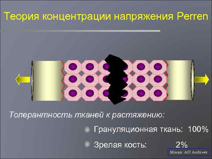 Теория концентрации напряжения Perren Толерантность тканей к растяжению: Грануляционная ткань: 100% Зрелая кость: 2%
