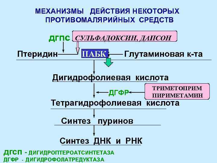 МЕХАНИЗМЫ ДЕЙСТВИЯ НЕКОТОРЫХ ПРОТИВОМАЛЯРИЙНЫХ СРЕДСТВ дгпс Птеридин СУЛЬФАДОКСИН, ДАПСОН ПАБК ПАБ Глутаминовая к-та Дигидрофолиевая