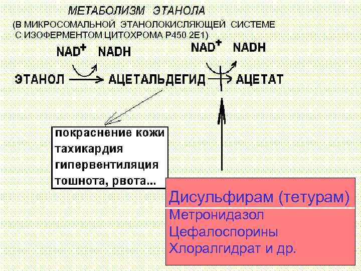 (В МИКРОСОМАЛЬНОЙ ЭТАНОЛОКИСЛЯЮЩЕЙ СИСТЕМЕ С ИЗОФЕРМЕНТОМ ЦИТОХРОМА Р 450 2 Е 1) Дисульфирам (тетурам)