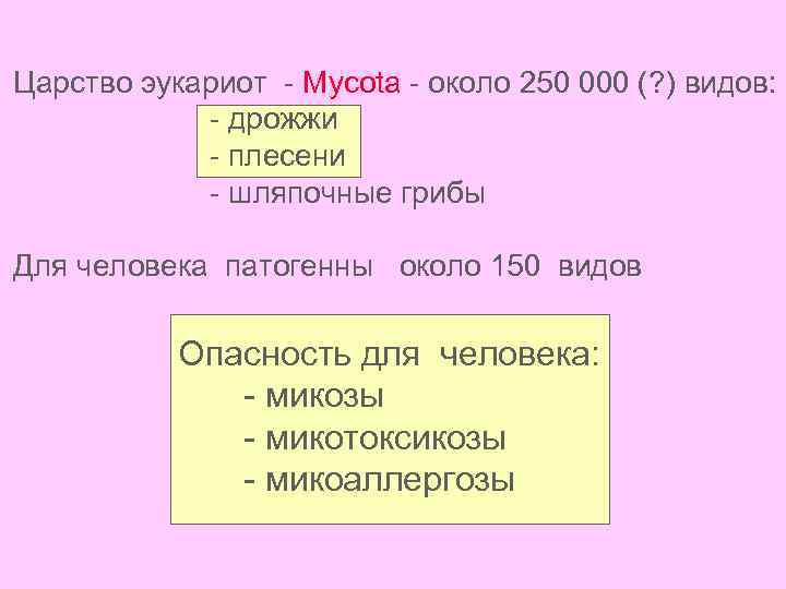 Царство эукариот - Mycota - около 250 000 (? ) видов: - дрожжи -